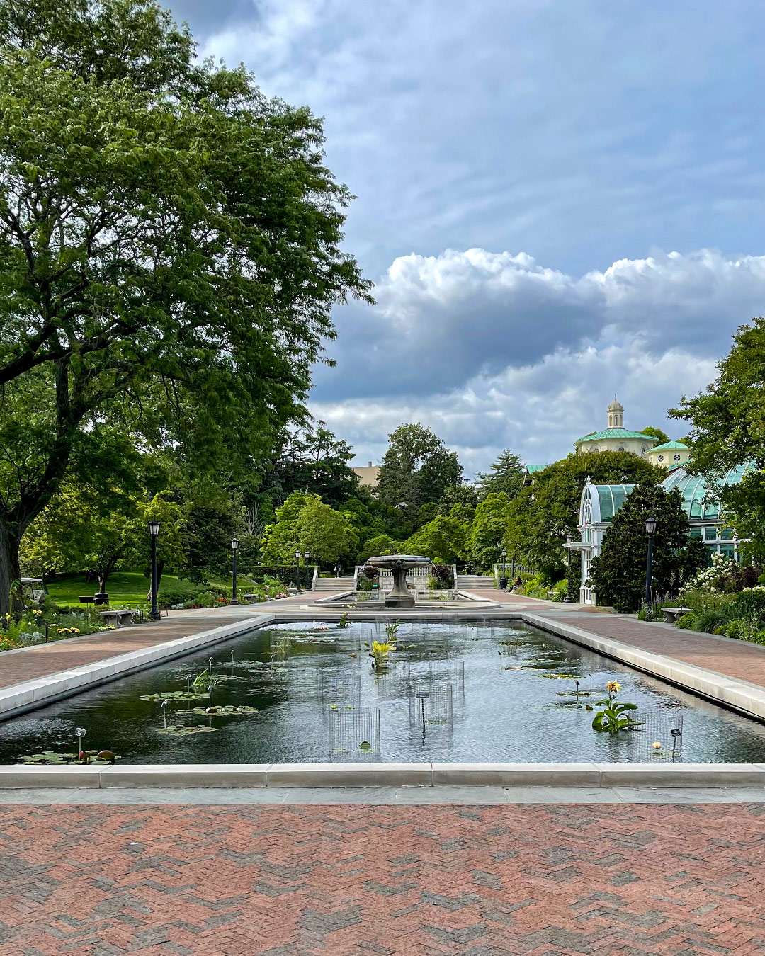 View from Brooklyn Botanical Garden