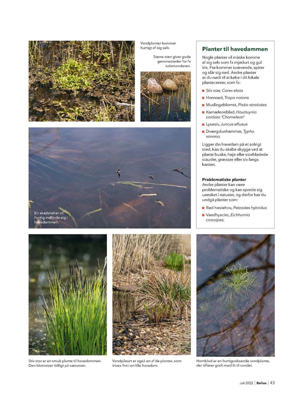 Magasinet Bolius med artikel om vand til padder og andre dyr. Tekst og fotos af Kenn Römer-Bruhn