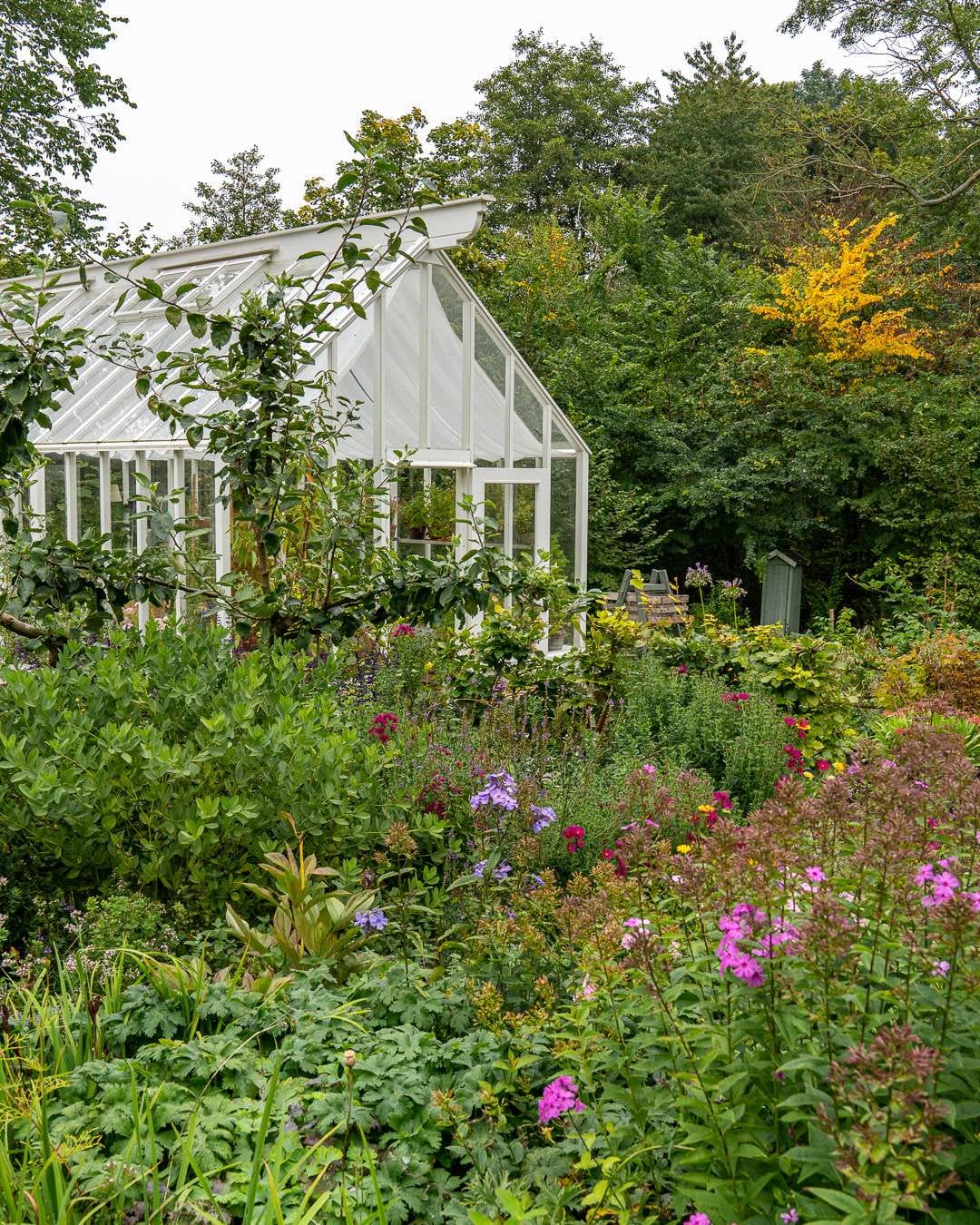 Prydbede og drivhus i det tidlige efterår Prydbede og drivhus i det tidlige efterår