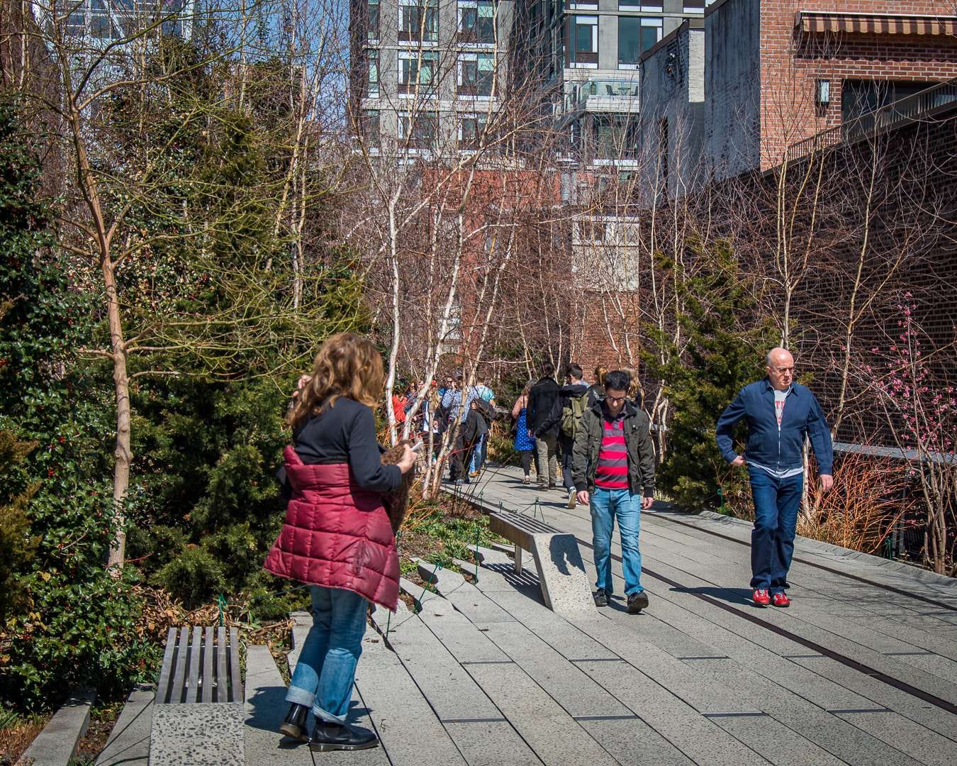 The High Line i New York med forårsblomstrende buske The High Line i New York med forårsblomstrende buske