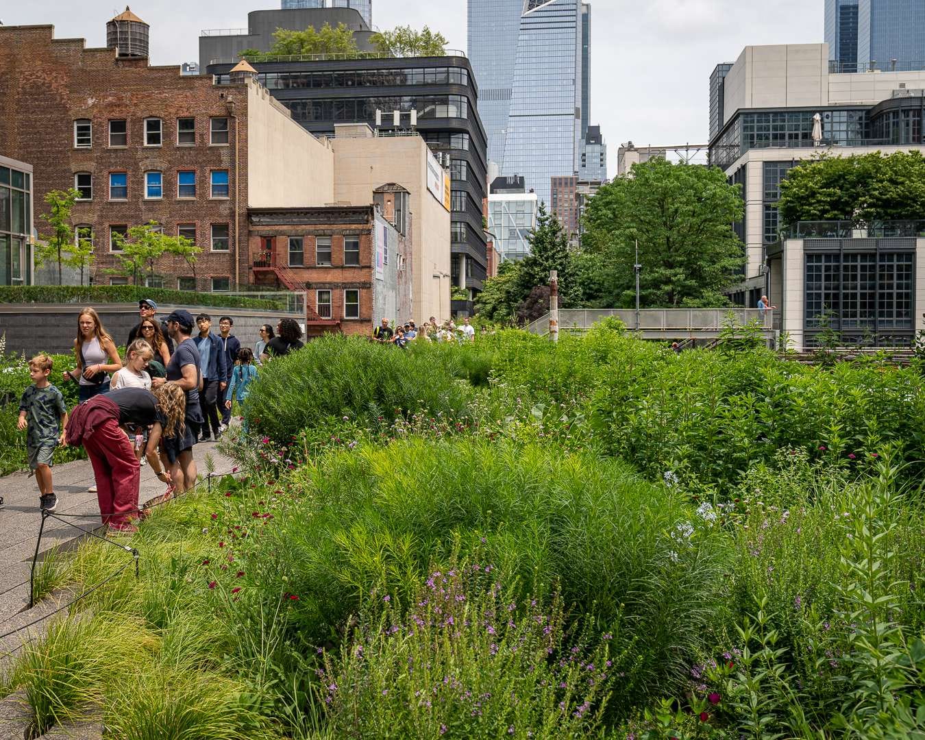 Parken High Line i New York er flittigt besøgt Parken High Line i New York er flittigt besøgt