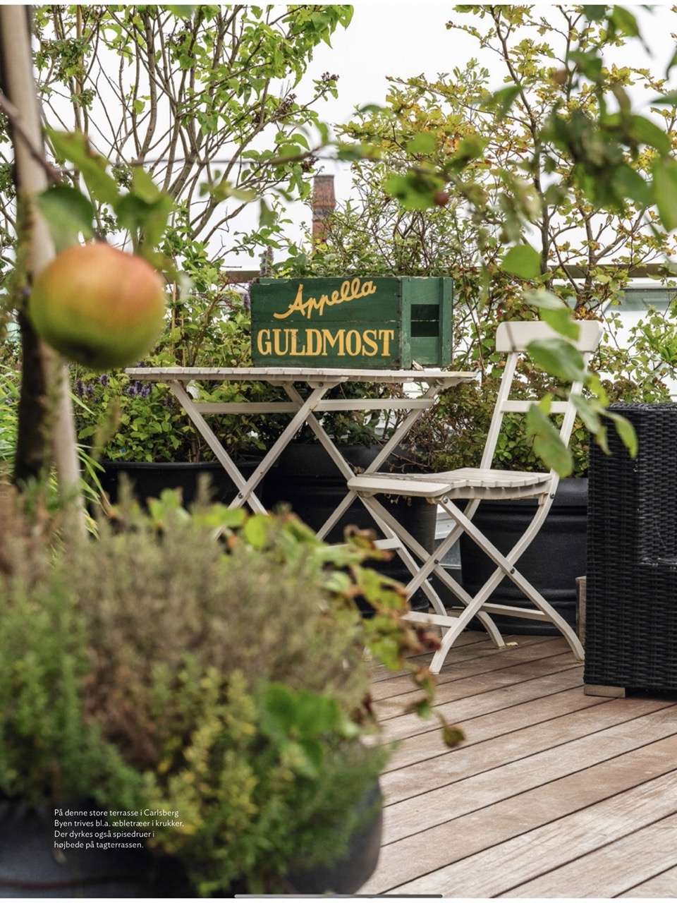 Magasinet Isabellas med artikel og fotos om sensommer i den urbane have af Kenn Römer-Bruhn