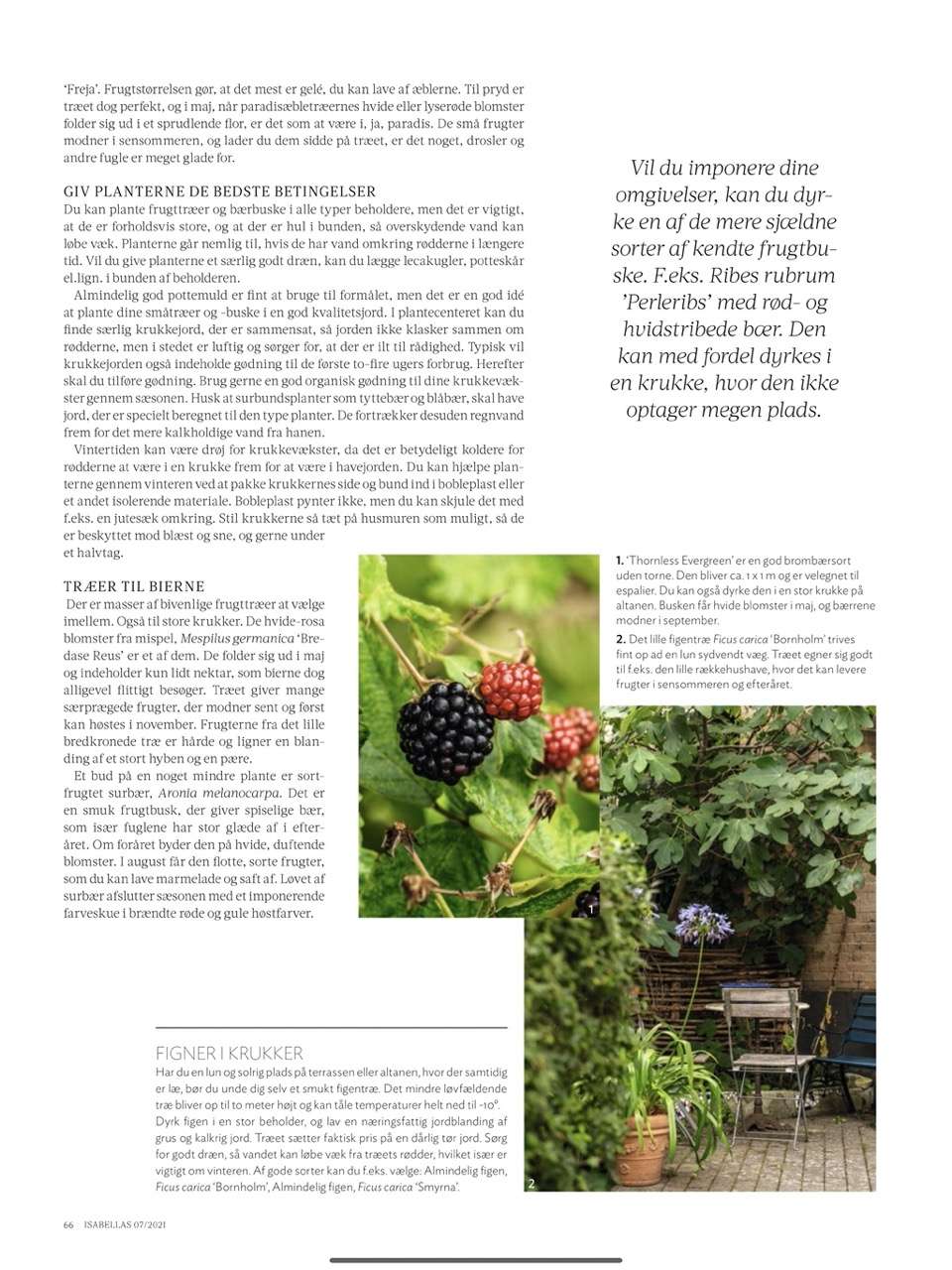 Magasinet Isabellas med artikel og fotos om sensommer i den urbane have af Kenn Römer-Bruhn