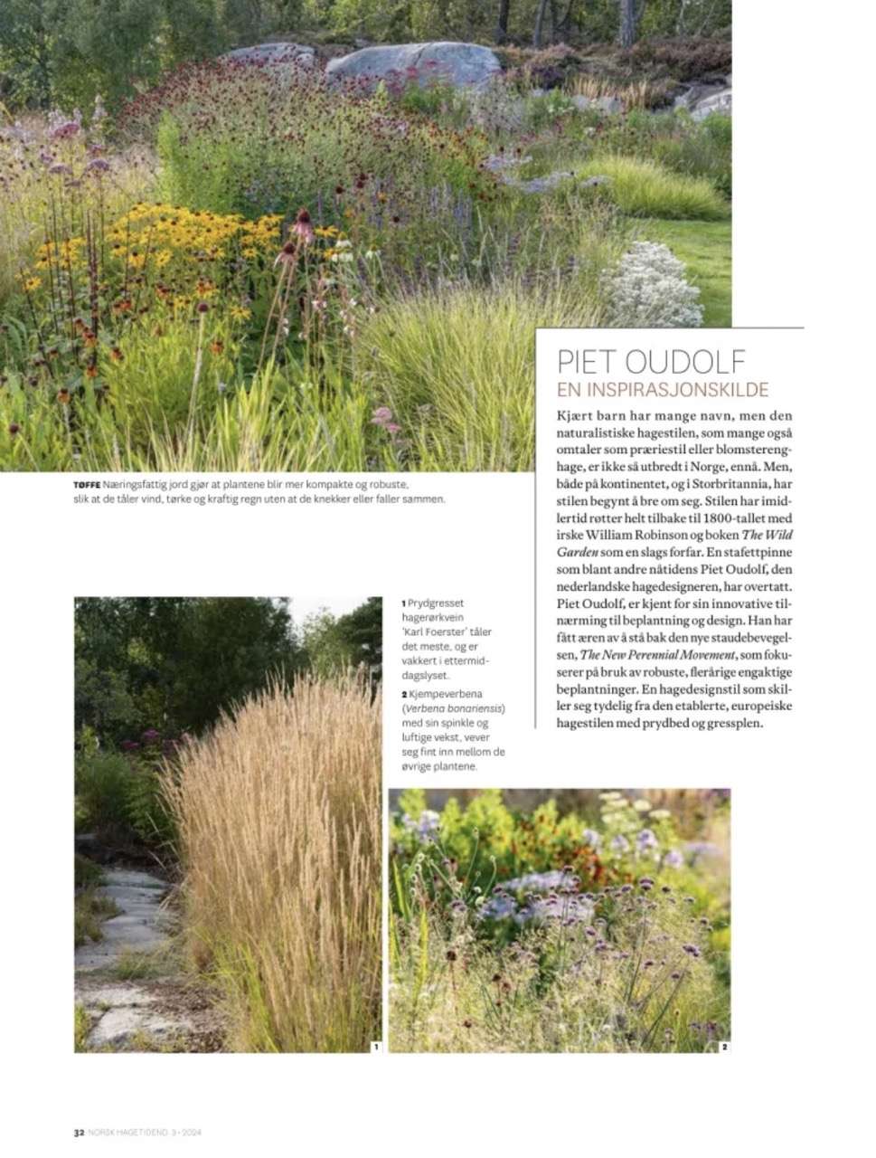 Artikel om vild haveglæde i havemagasinet 'Norsk Hagetidend' med fotos af Kenn Römer-Bruhn