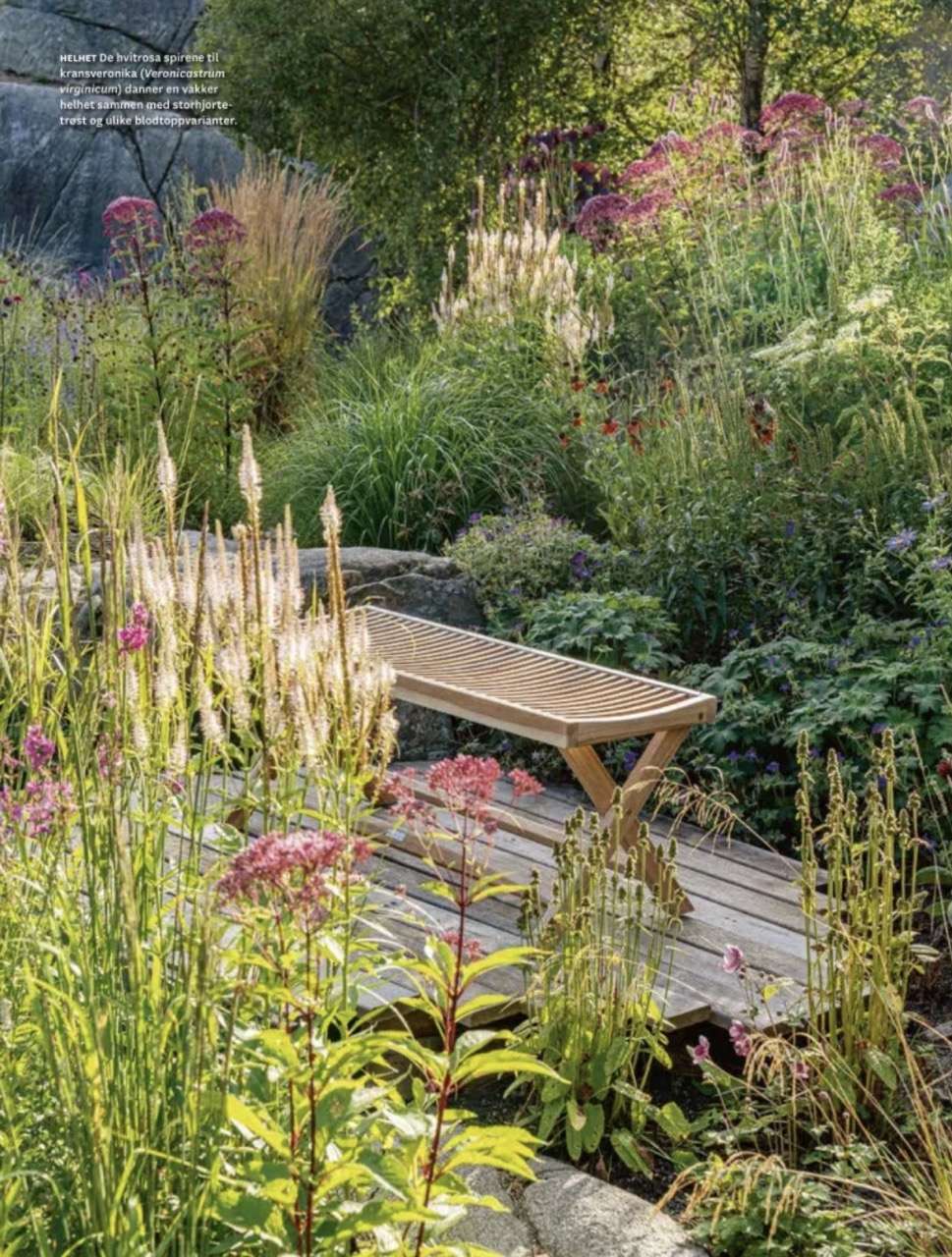 Artikel om vild haveglæde i havemagasinet 'Norsk Hagetidend' med fotos af Kenn Römer-Bruhn