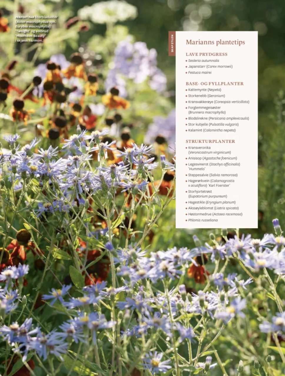 Artikel om vild haveglæde i havemagasinet 'Norsk Hagetidend' med fotos af Kenn Römer-Bruhn