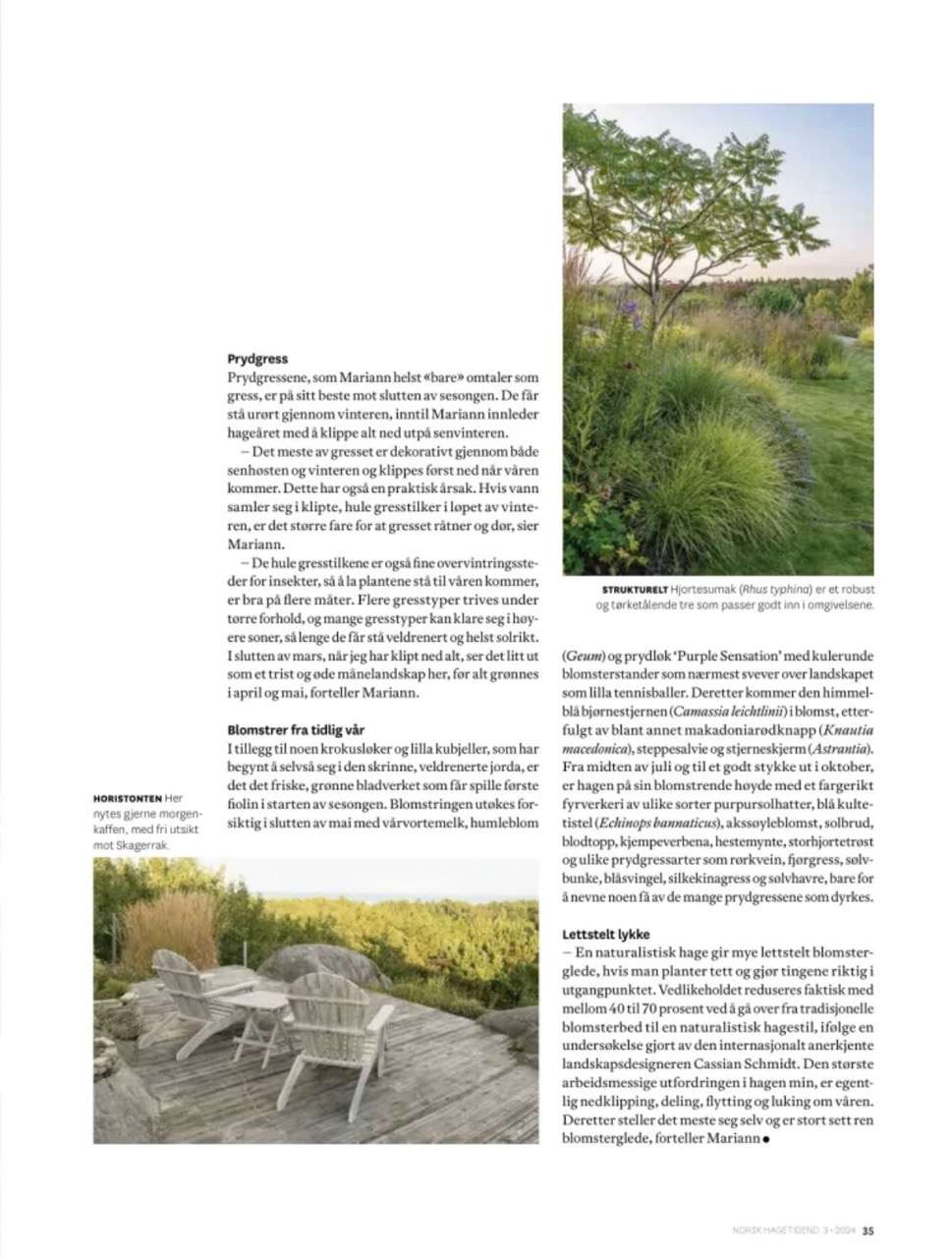 Artikel om vild haveglæde i havemagasinet 'Norsk Hagetidend' med fotos af Kenn Römer-Bruhn