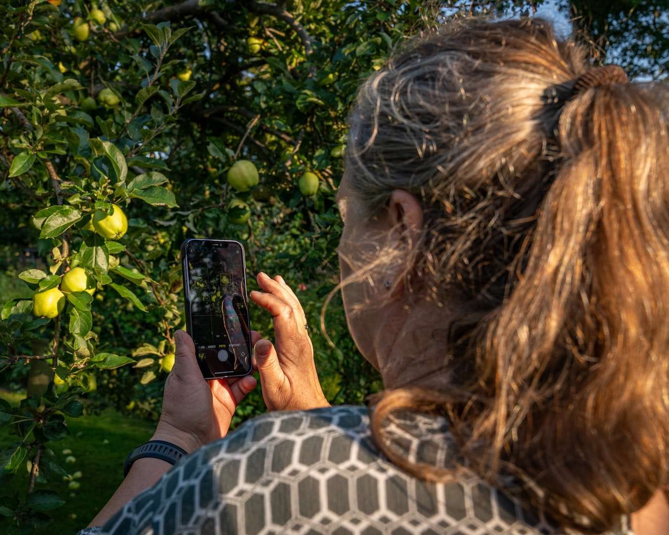 Kursist fotograferer blomster med mobilen under fotokursus i Blomsterhaven