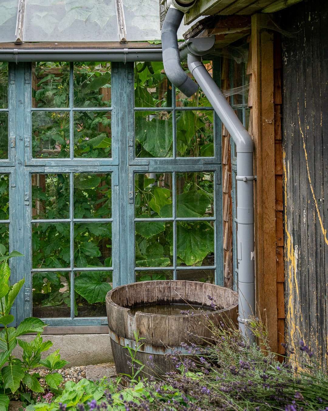 Drivhusguide og kursus med finurlige detaljer på et hjemmebygget drivhus Drivhusguide: Hjemmebygget orangeri