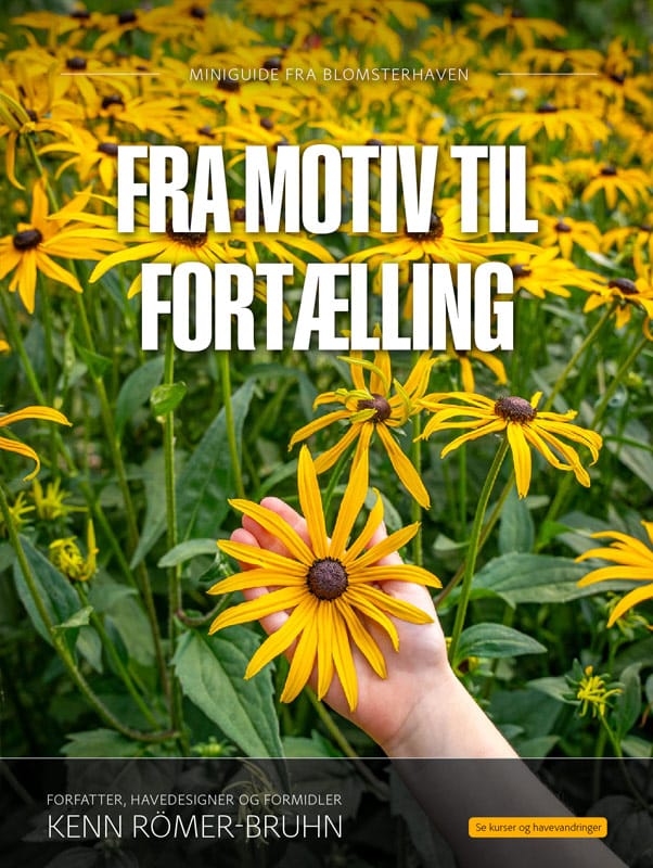 Forsiden af miniguiden Fra motiv til fortælling