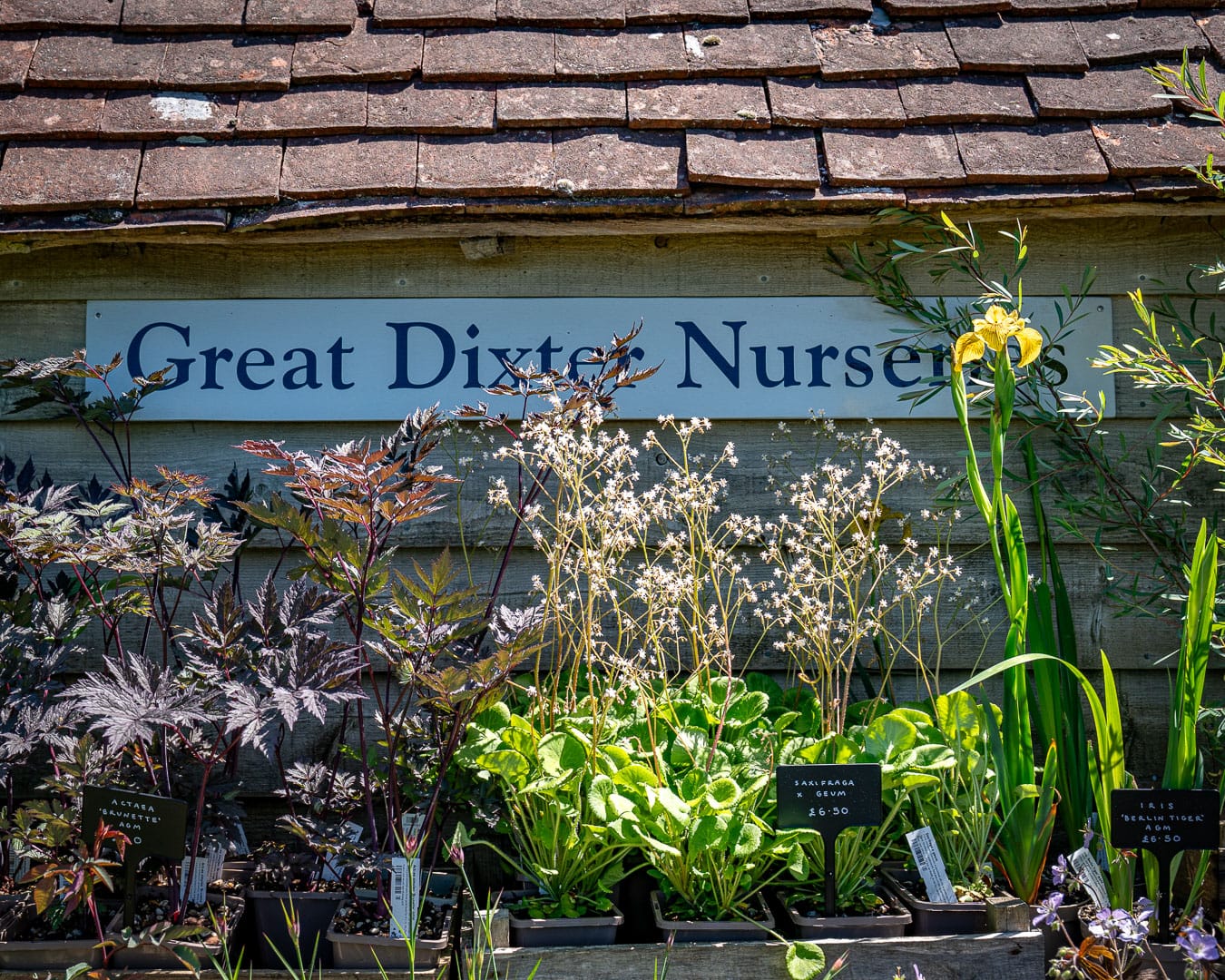 Great Dixter House & Gardens Planteskolen i Great Dixter House & Gardens