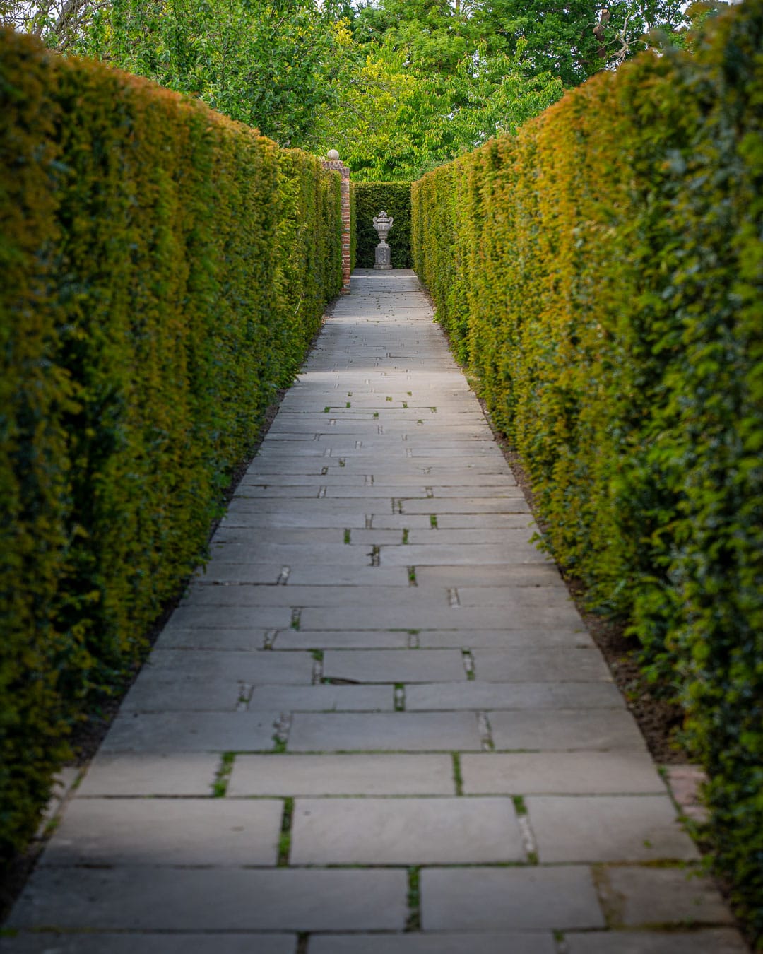 Stramme takshække i Sissinghurst Castle Garden