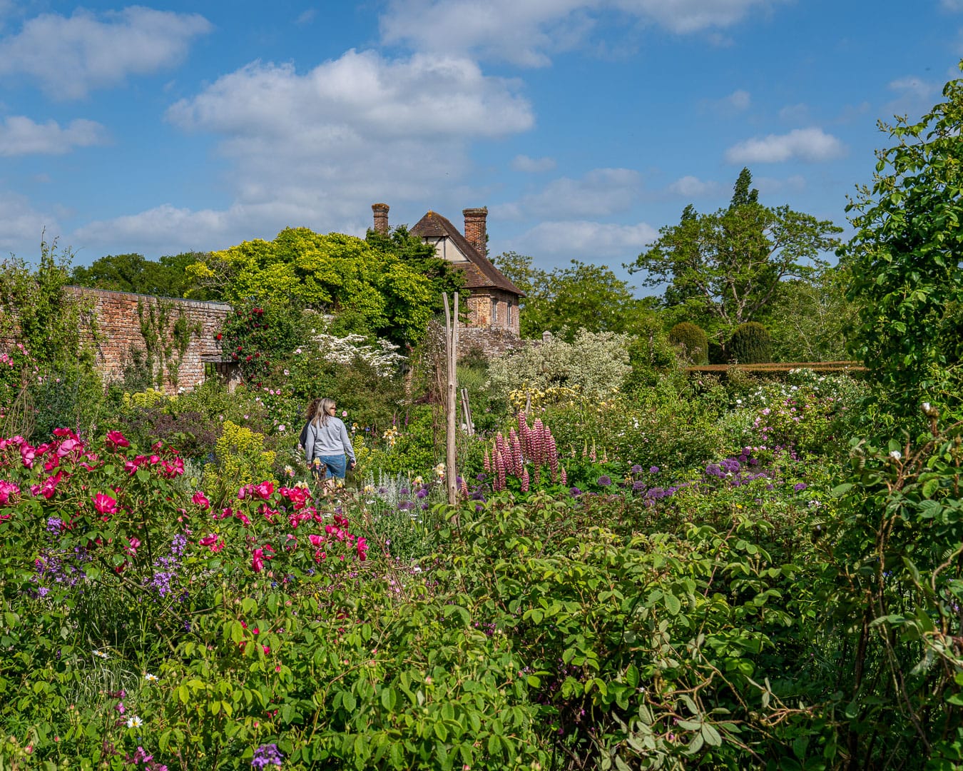 De brusende bede i Sissinghurst Castle Garden