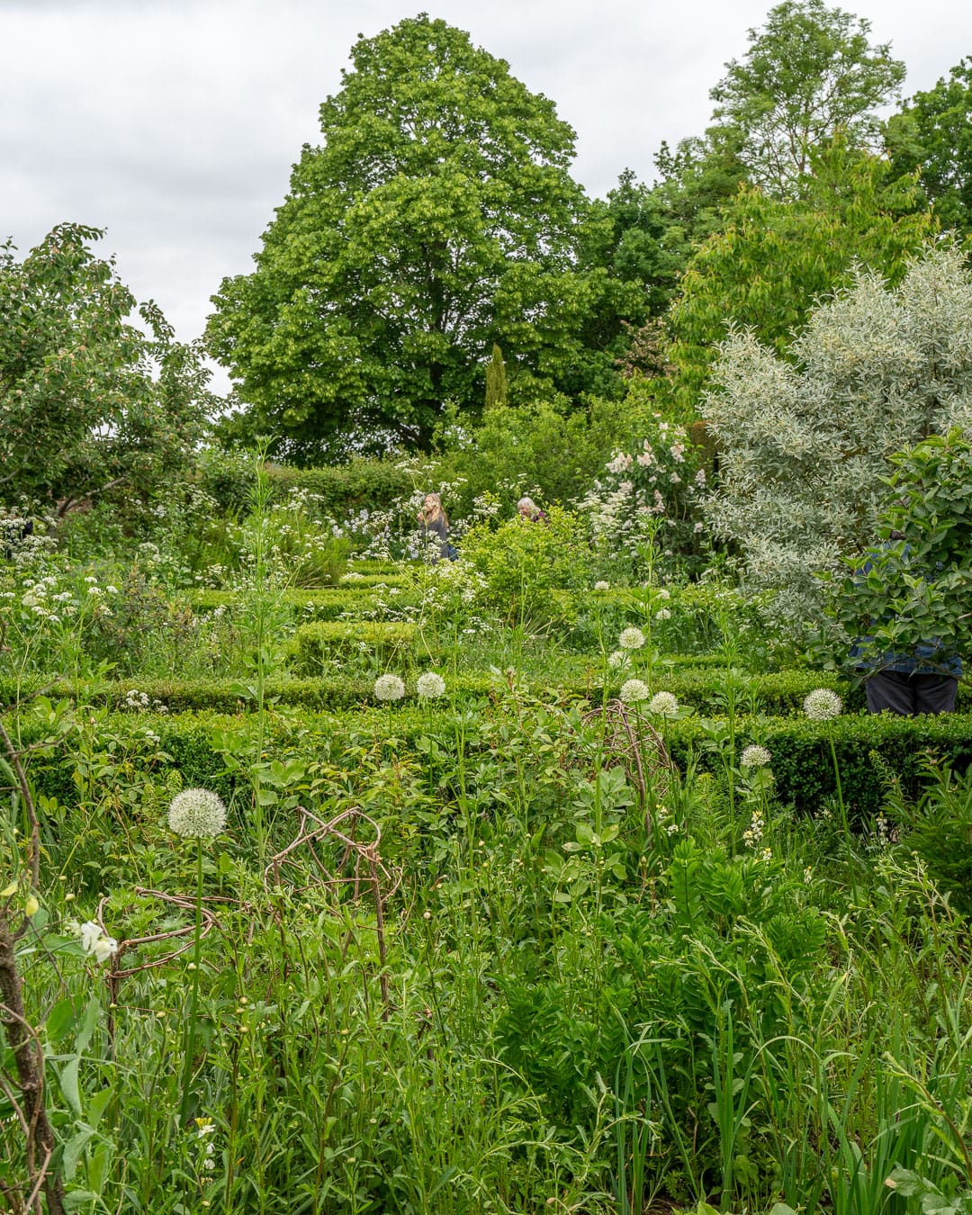 Den hvide have i Sissinghurst Castle Garden