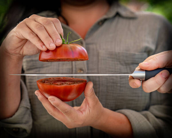 Hjemmelavet saft, salater og lækker mad med råvarer fra haven – sæsonens bedste opskrifter