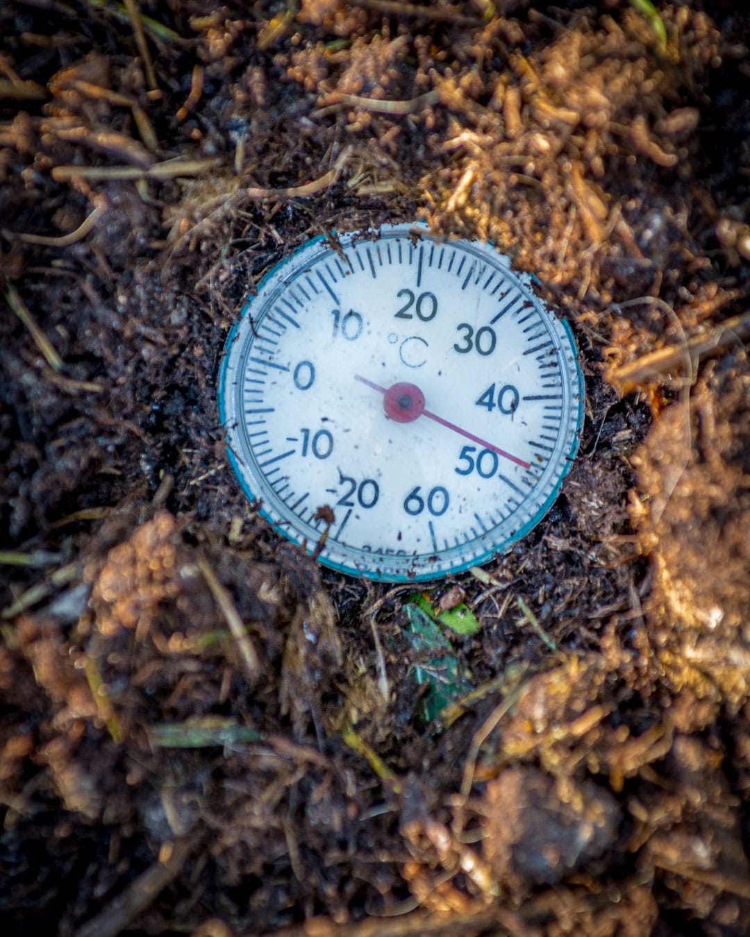Komposttermometer viser næsten 50° C på havekursus om jordens ABC Komposttermometer viser næsten 50° C på havekursus om jordens ABC