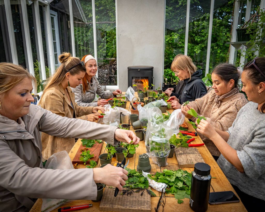 Havekurserne i Blomsterhaven er populære og her ses glade kursister i gang med at lave deres egne planter Havekurserne i Blomsterhaven er populære og her ses glade kursister i gang med at lave deres egne planter
