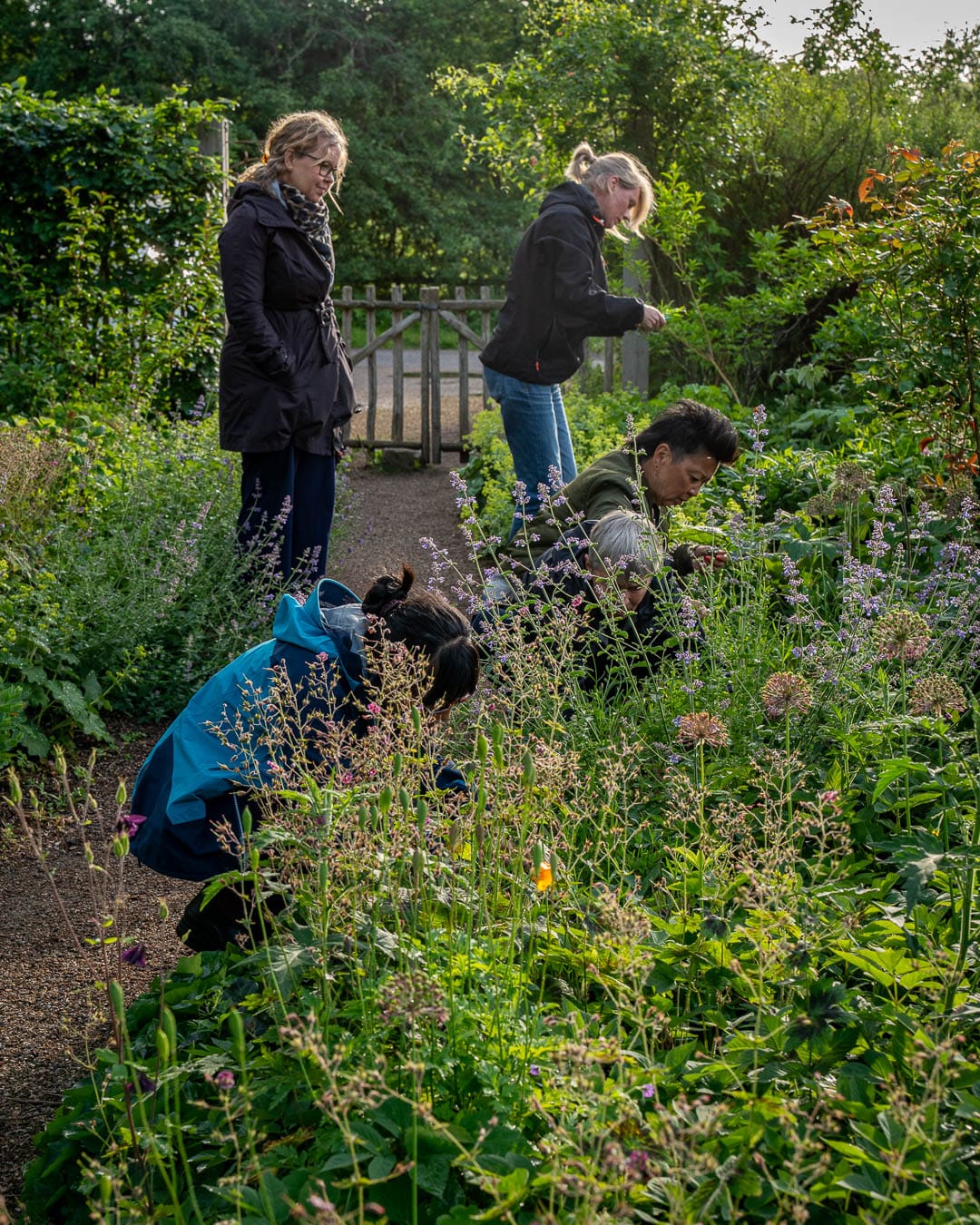 Principper i havedesign afprøves i praksis i blomsterhaven