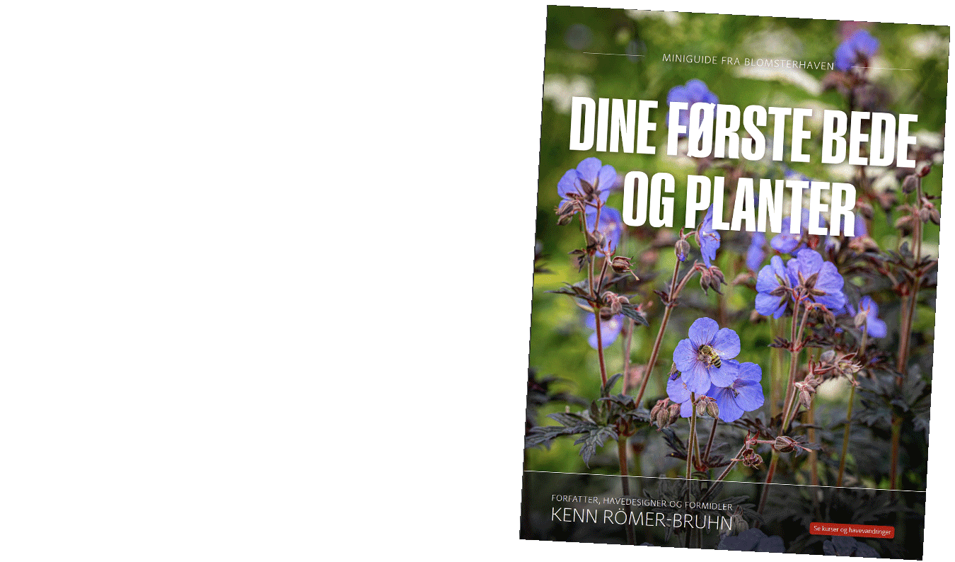 Forsiden af miniguiden Dine første bede og planter
