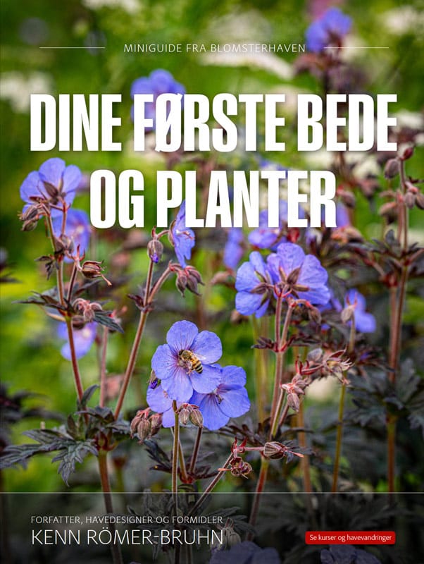 Forsiden af miniguiden Dine første bede og planter