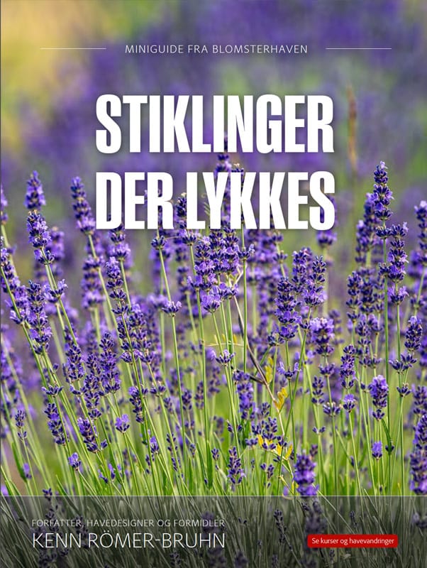 Forsiden af miniguiden Stiklinger der lykkes