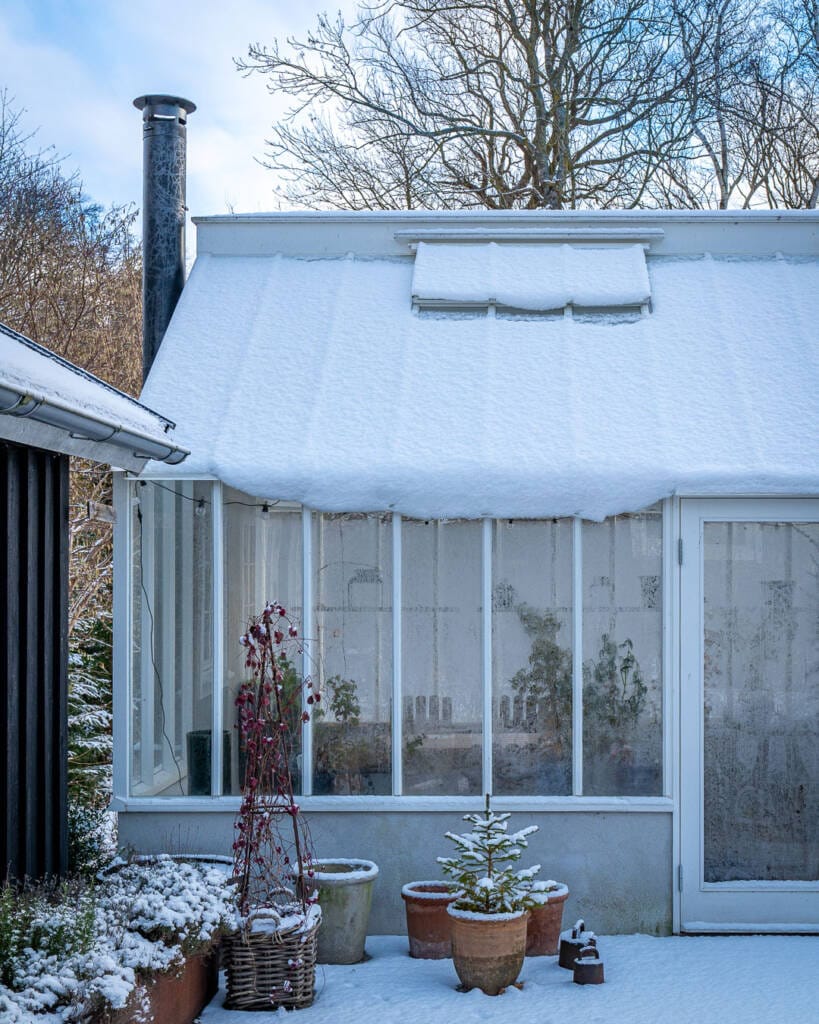 Selvom det er kold derude, er orangeriet opvarmet af en brændeovn Selvom det er kold derude, er orangeriet opvarmet af en brændeovn