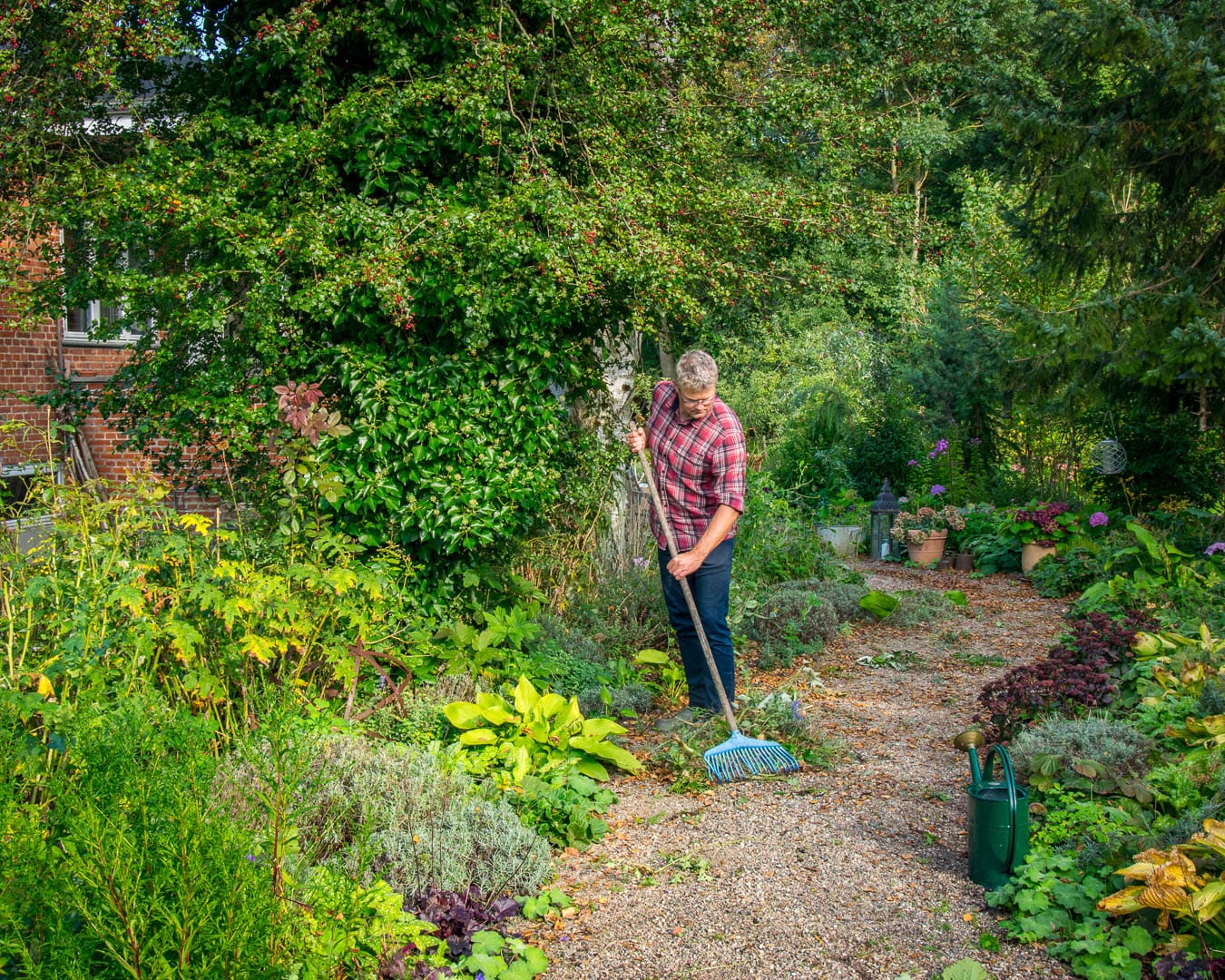 Bed ved indgangen i Blomsterhaven med stauder og frodig beplantning.