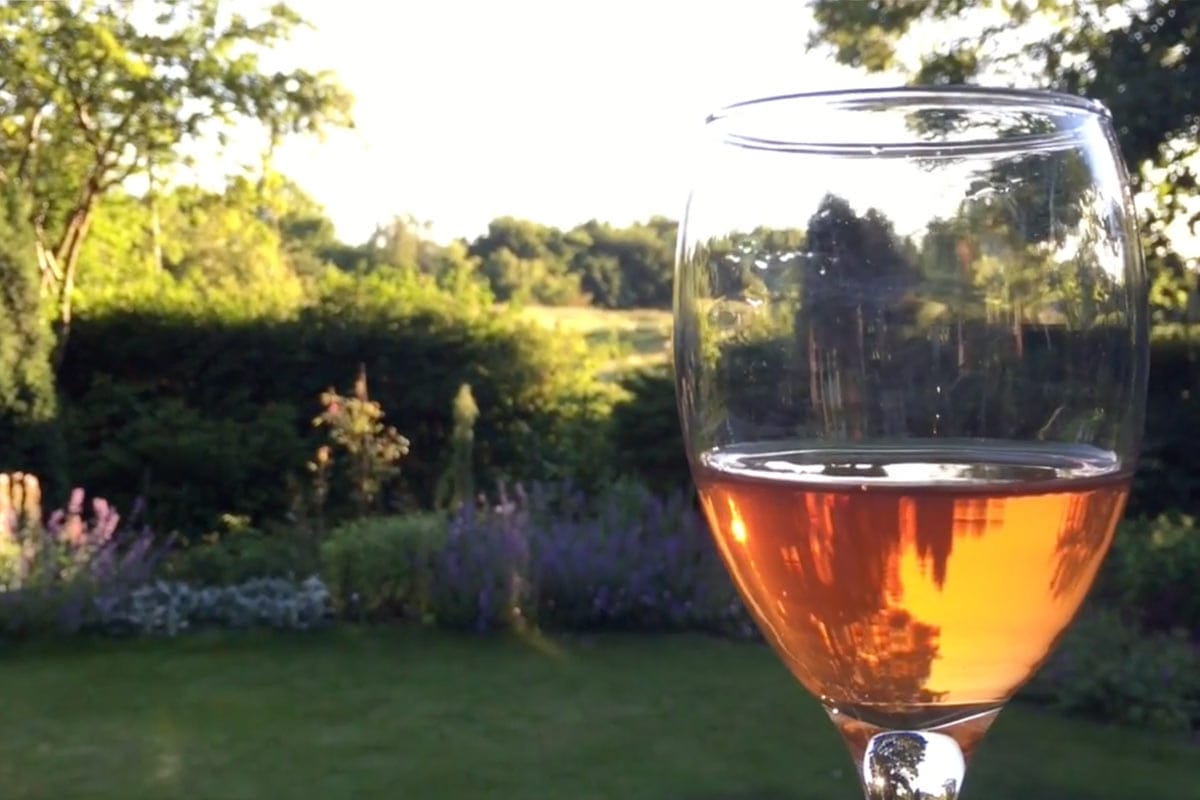 Hjemmelavet blommevin i glas i Blomsterhaven Hjemmelavet blommevin i glas i Blomsterhaven