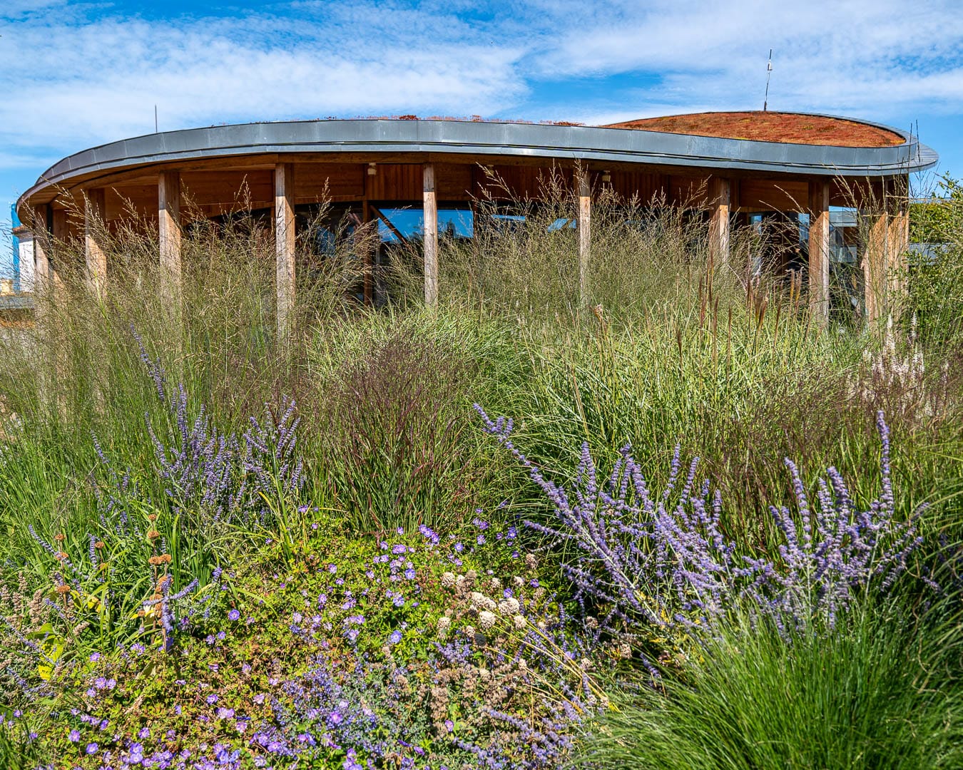 Museet ved H.C. Andersen Haven med træ- og glasfacader omgivet af stauder og frodig beplantning.