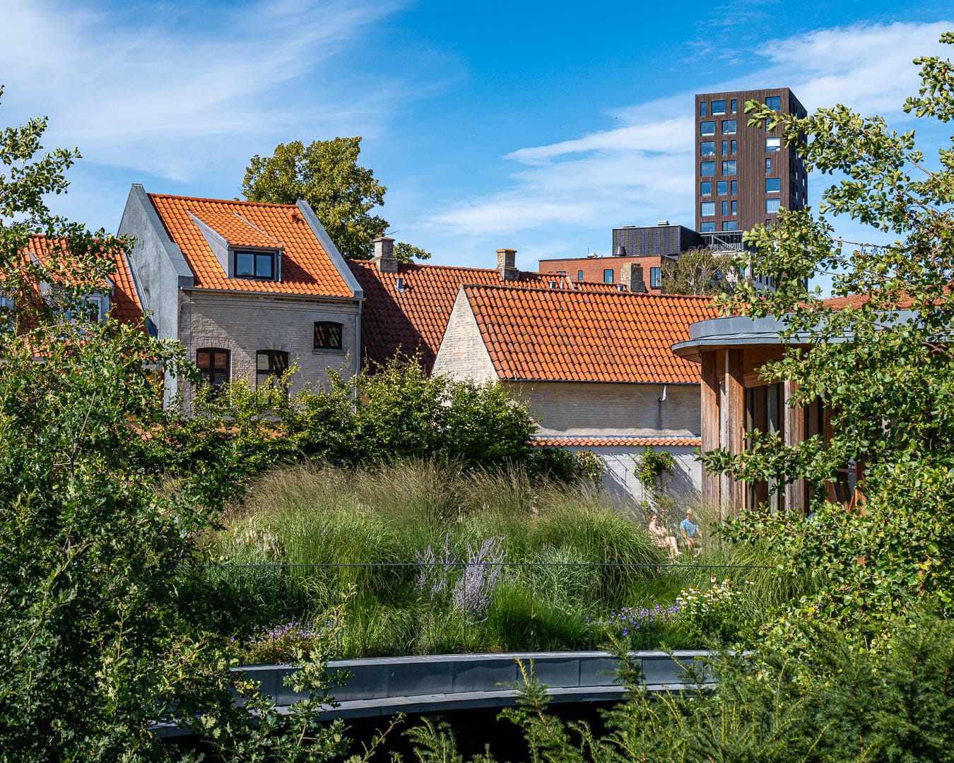 Udsigt over den nedsænkede H.C. Andersen Have med store træer og Odenses huse i baggrunden.